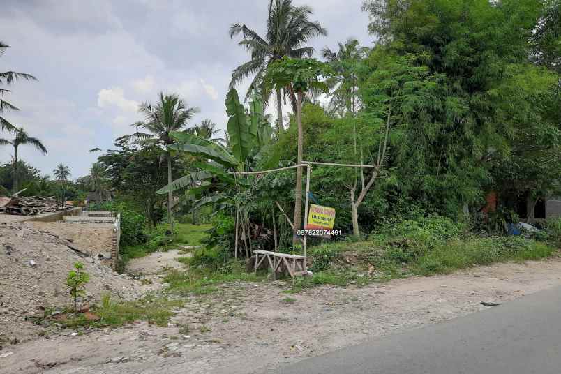 dijual tanah asri di kota cilegon langsung owner