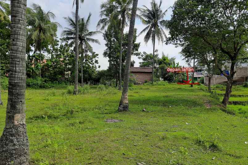 dijual tanah asri di kota cilegon langsung owner