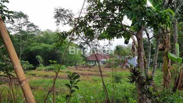 dijual tanah bandara palmerah