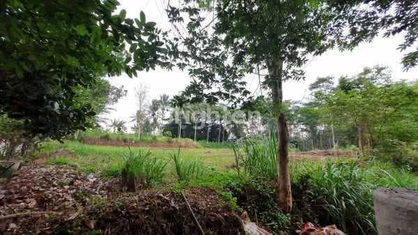 dijual tanah bandara palmerah