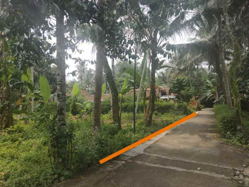 dijual tanah bandung selis kutoarjo