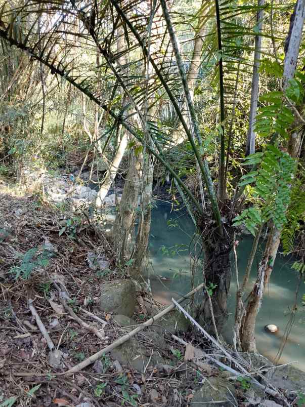 dijual tanah banjar dinas munduk desa