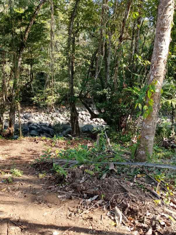 dijual tanah banjar dinas munduk desa