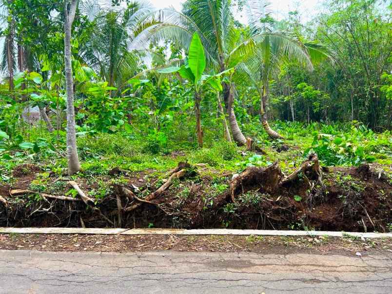 dijual tanah batujamus kerjo karanganyar