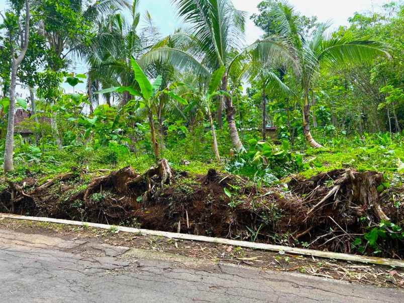 dijual tanah batujamus kerjo karanganyar