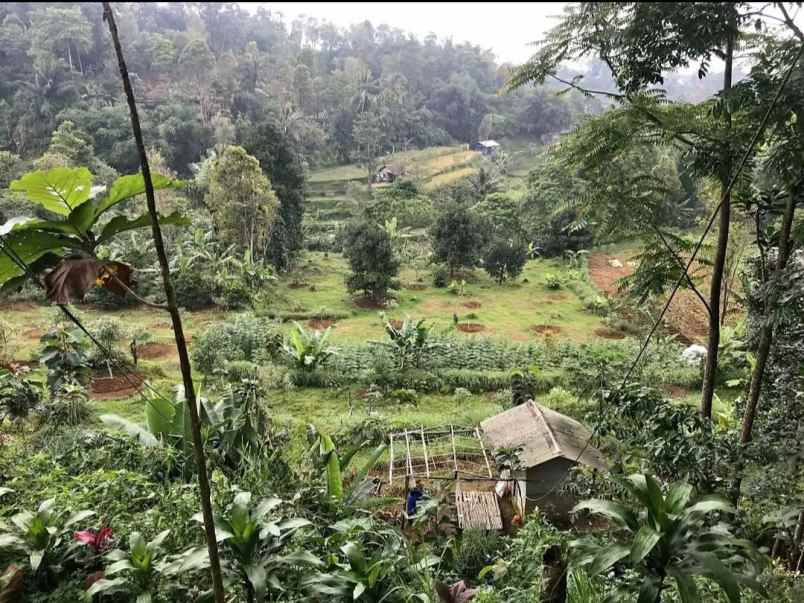 dijual tanah bojong purwakarta