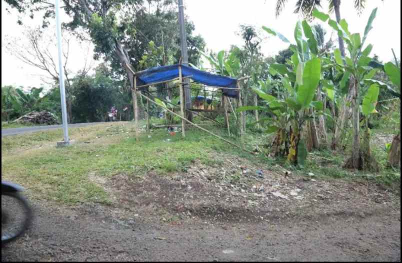 dijual tanah ciharashas