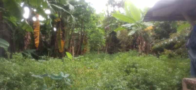 dijual tanah cijawura hilir