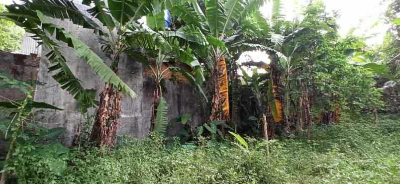 dijual tanah cijawura hilir