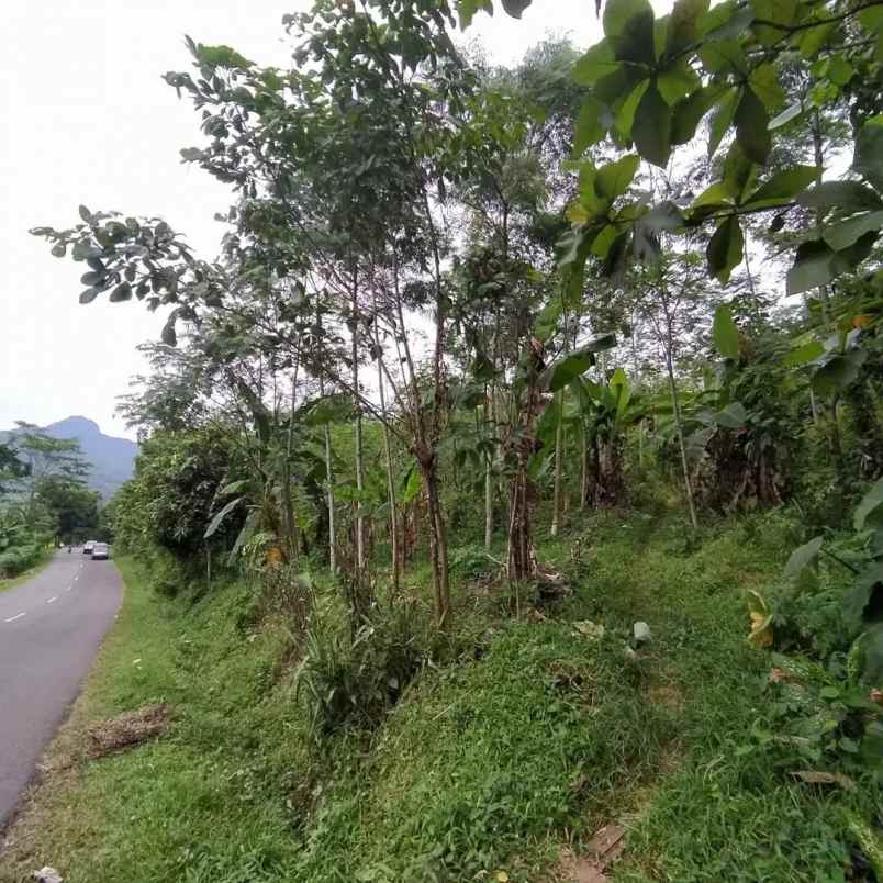 dijual tanah ciramahilir maniis