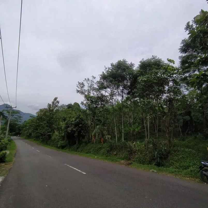 dijual tanah ciramahilir maniis