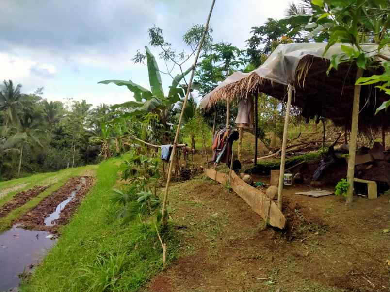 dijual tanah dalang tabanan bali