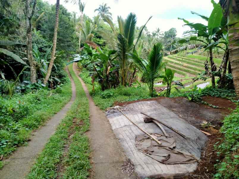 dijual tanah dalang tabanan bali