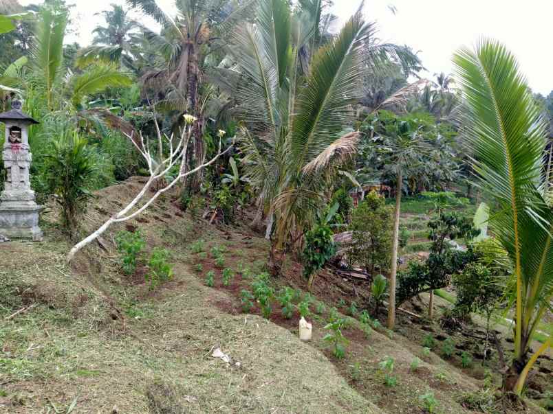 dijual tanah dalang tabanan bali