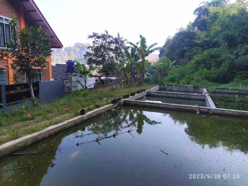 dijual tanah dan balong siap bangun lokasi lembang