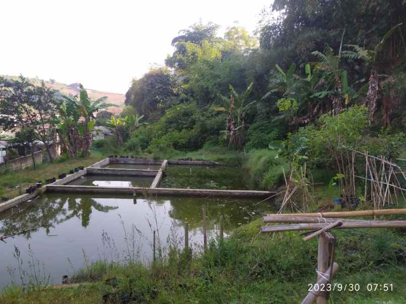 dijual tanah dan balong siap bangun lokasi lembang