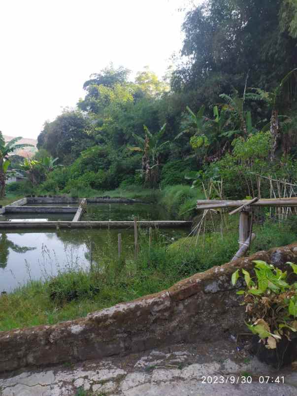 dijual tanah dan balong siap bangun lokasi lembang