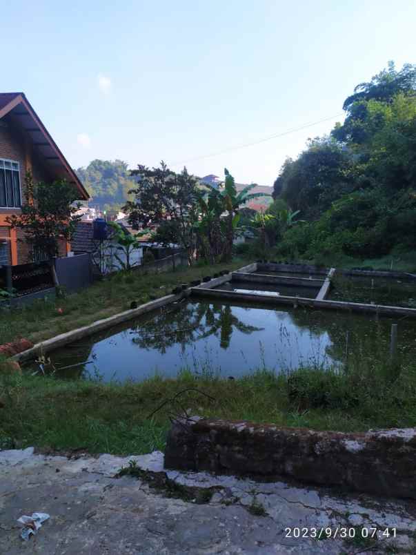 dijual tanah dan balong siap bangun lokasi lembang