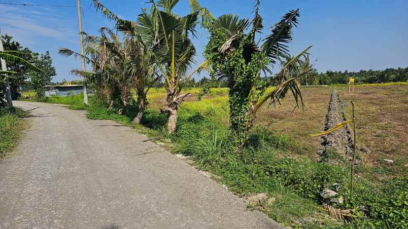 dijual tanah dekat ke pantai kedunggu tabanan bali