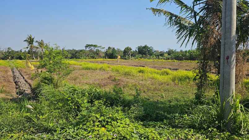 dijual tanah dekat ke pantai kedunggu tabanan bali