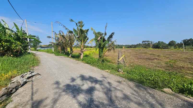 dijual tanah dekat ke pantai kedunggu tabanan bali