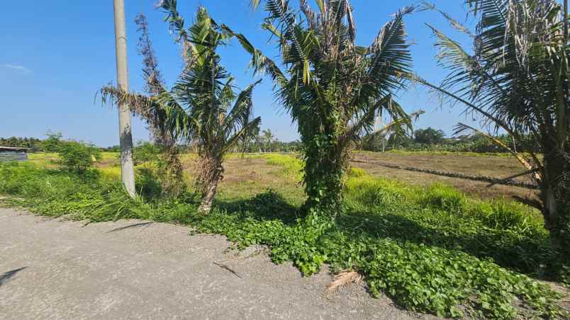 dijual tanah dekat ke pantai kedunggu tabanan bali