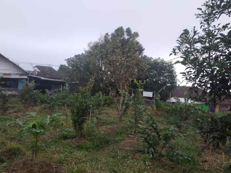 dijual tanah desa bulukerto