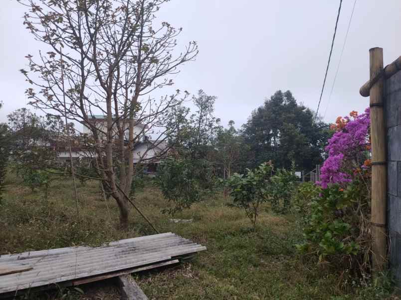 dijual tanah desa bulukerto