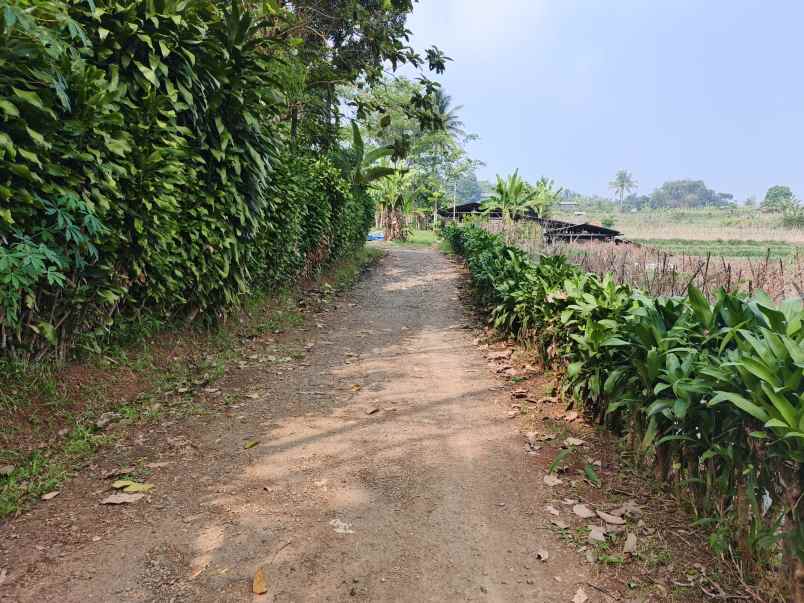 dijual tanah desa darangdan