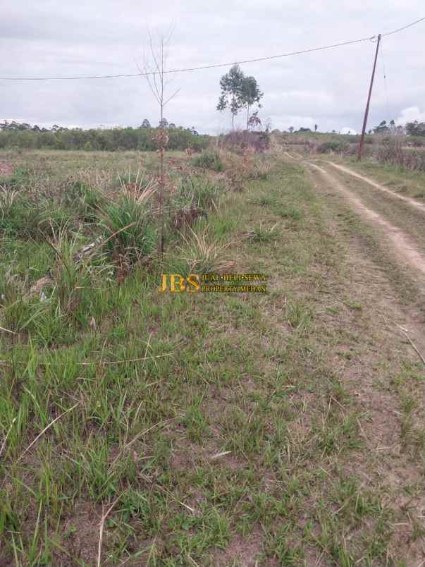 dijual tanah desa parbaba martoba kab