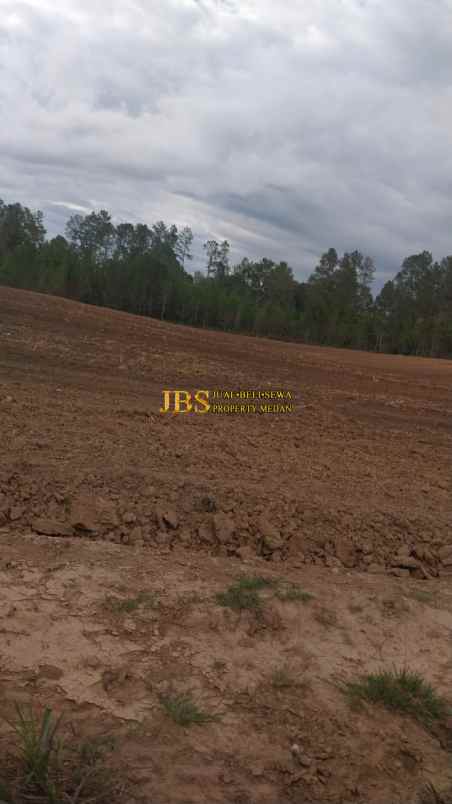 dijual tanah desa parbaba martoba kab