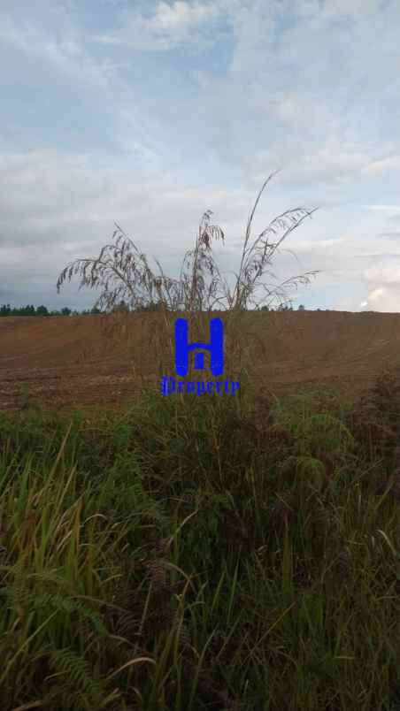 dijual tanah desa parbaba martoba kab