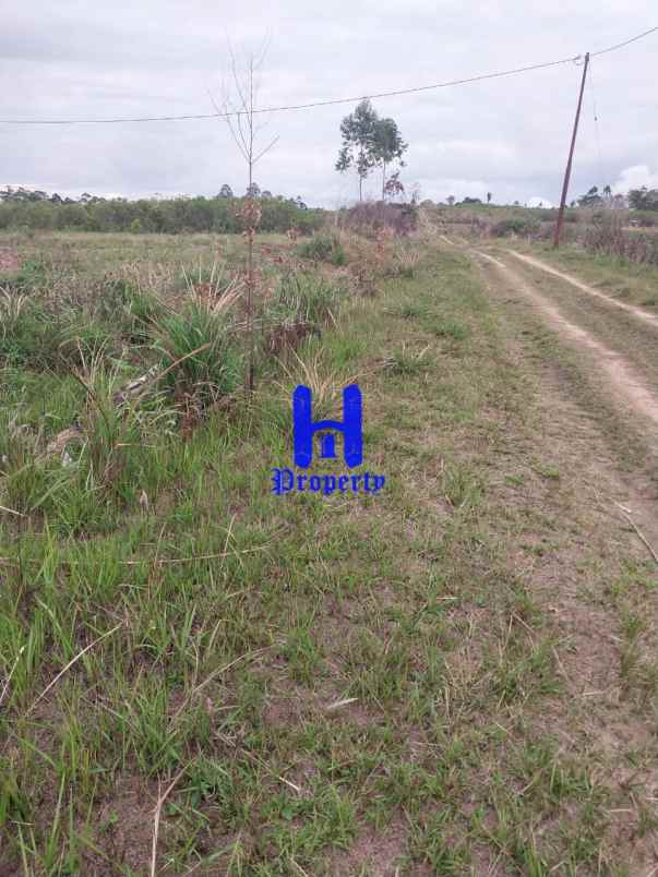 dijual tanah desa parbaba martoba kab