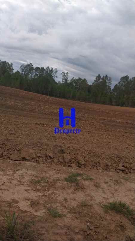 dijual tanah desa parbaba martoba kab