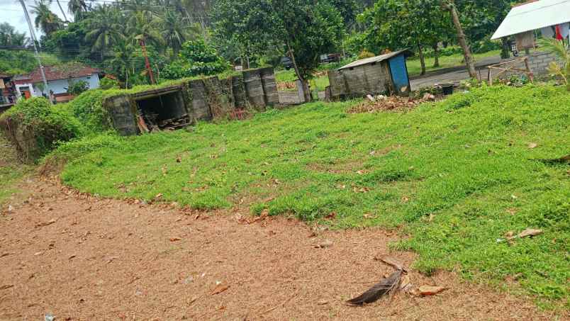 dijual tanah desa pengragoan kec