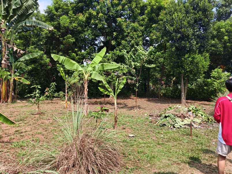 dijual tanah gg ali hamdan