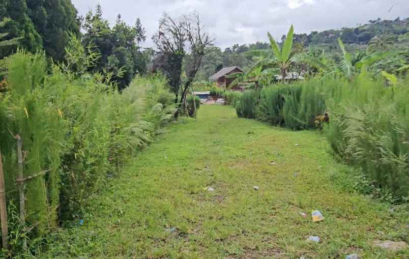 dijual tanah gunung bunder pamijahan