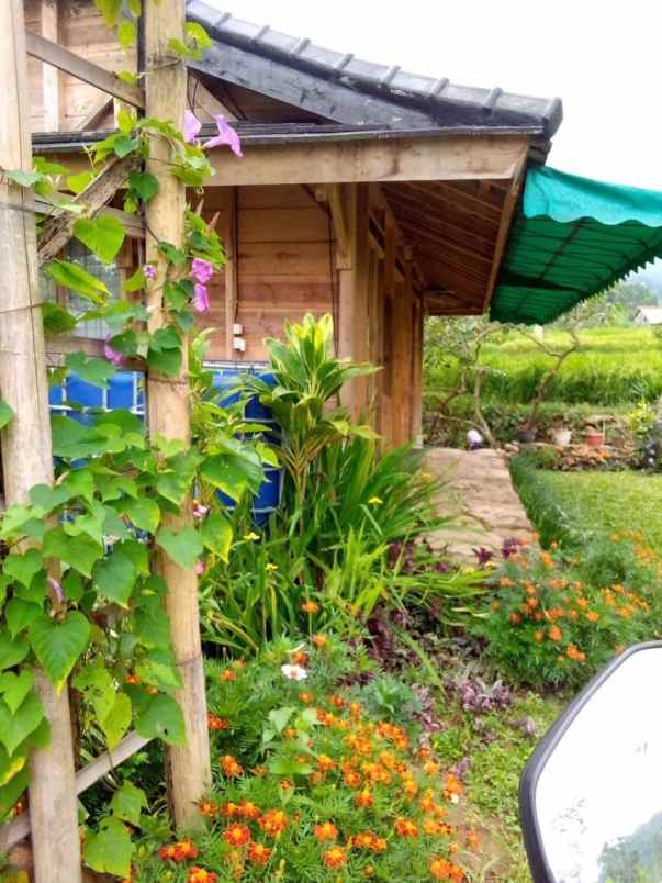 dijual tanah gunung bunder pamijahan