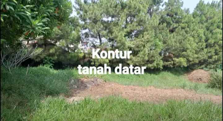 dijual tanah jalan pagermaneuh punclut