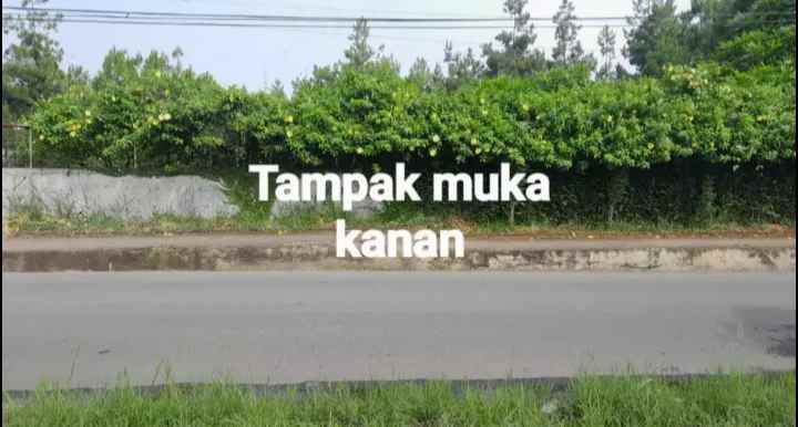 dijual tanah jalan pagermaneuh punclut