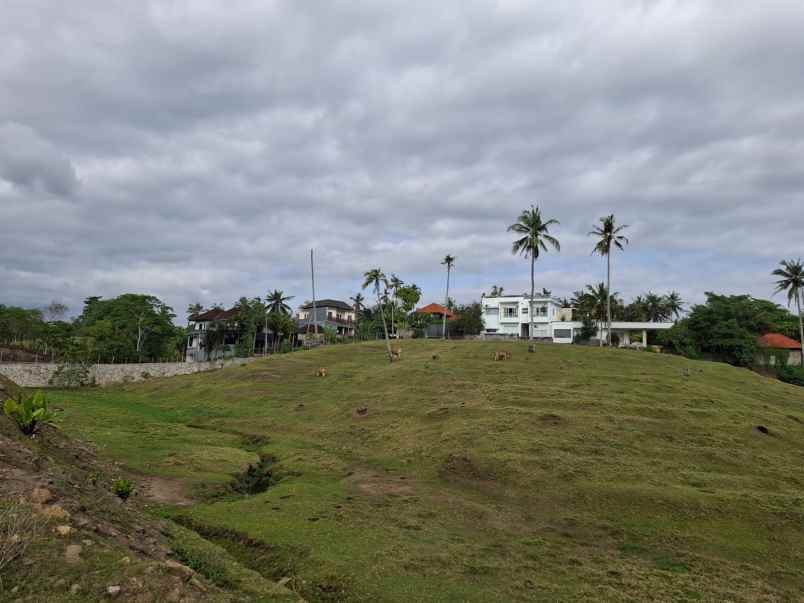 dijual tanah jalan pantai balian