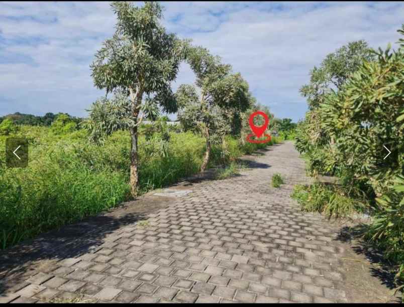 dijual tanah jalan pantai kedungu