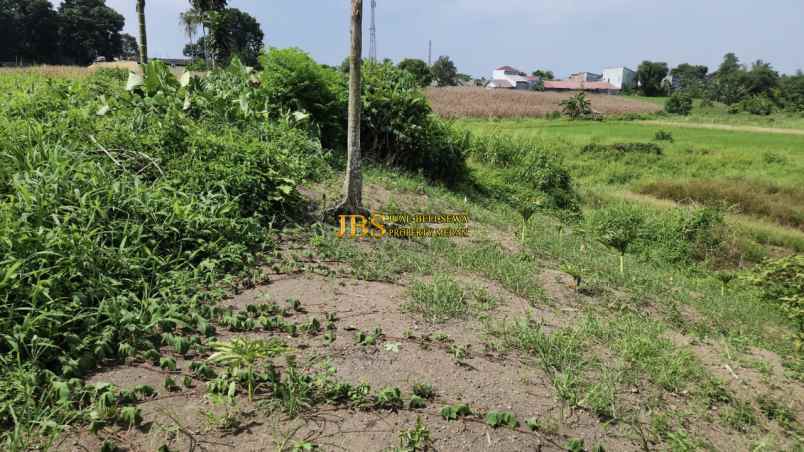 dijual tanah jalan petunia raya namu