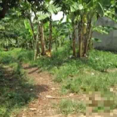 dijual tanah jalan reformasi cilodong