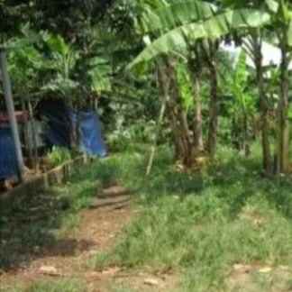 dijual tanah jalan reformasi cilodong