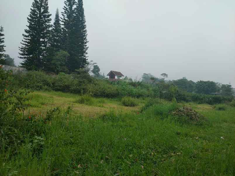 dijual tanah jl matoa panderman hill