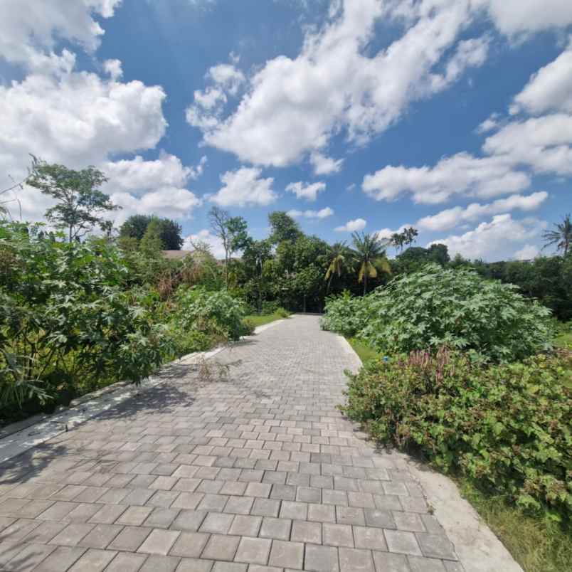 dijual tanah jl pantai pererenan