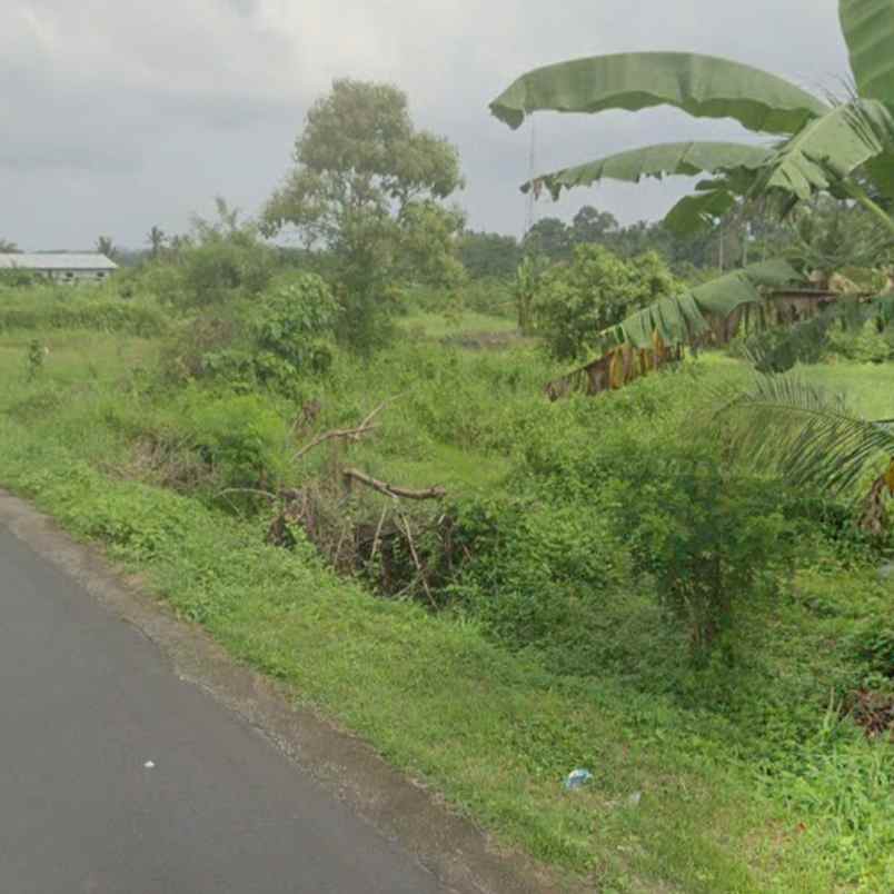 dijual tanah jl raya batuaji