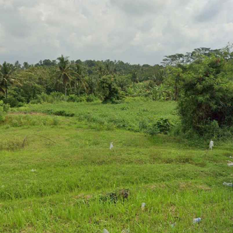 dijual tanah jl raya batuaji