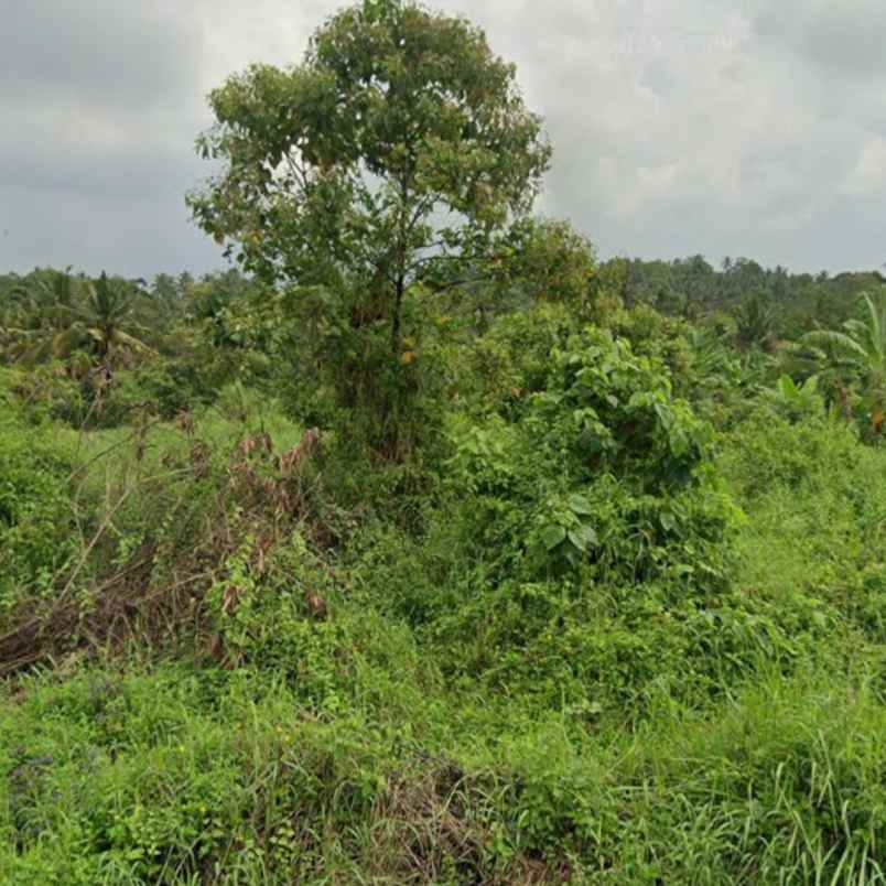 dijual tanah jl raya batuaji